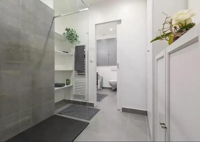 Authentique 2 Piece Dans Le Vieux-nice Appartement Nice